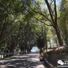 云顶寨：渝西川东鬼市录