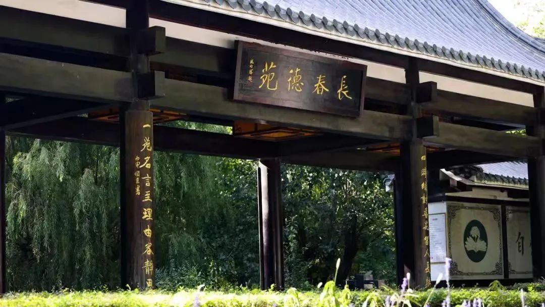 aC7CY7448Eb8Zui9.jpg