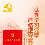 海报：党规之力