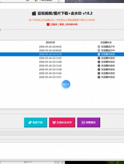 AI多平台视频下载器V2.0