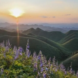 玉簪花云海景区：总有一场云海日出值得您奔赴<!--15--> ...