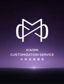 这标值10万！小米定制服务全新Logo亮相！