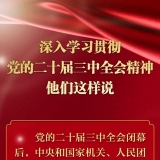 深入学习贯彻党的二十届三中全会精神，他们这样说