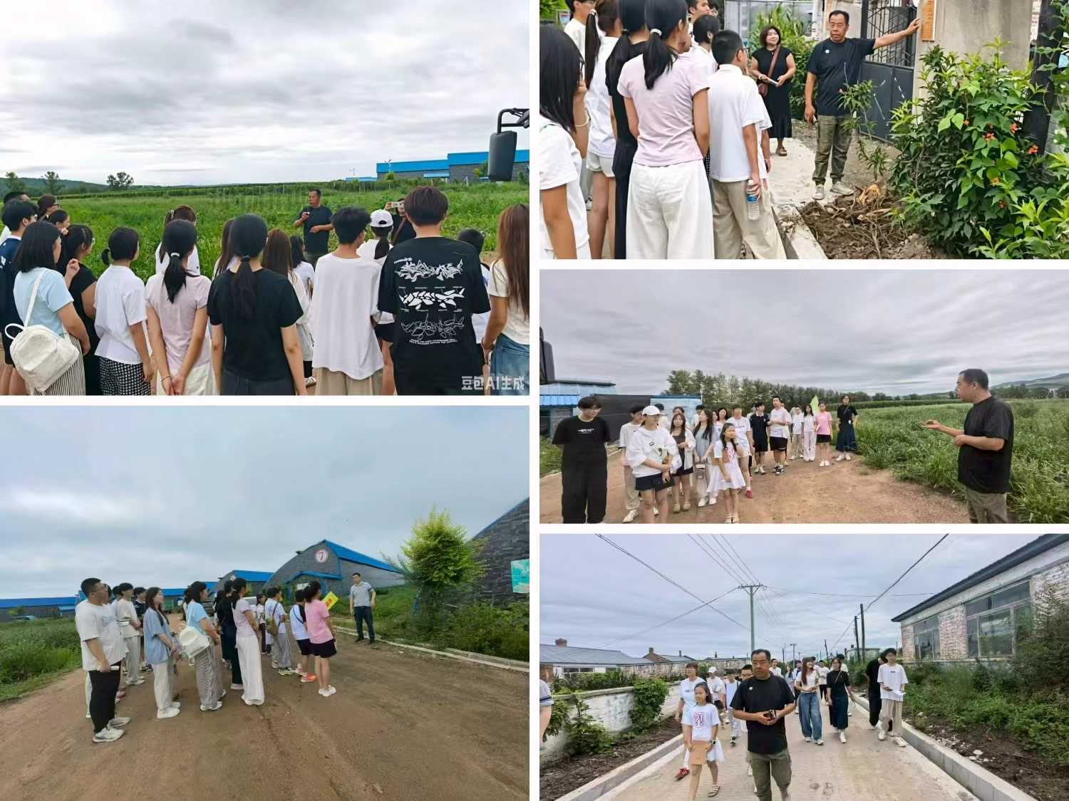 寻访现代化农业 青春助力乡村振兴——宁安市乡村振兴志愿服务团队暑期实践活动圆满收官